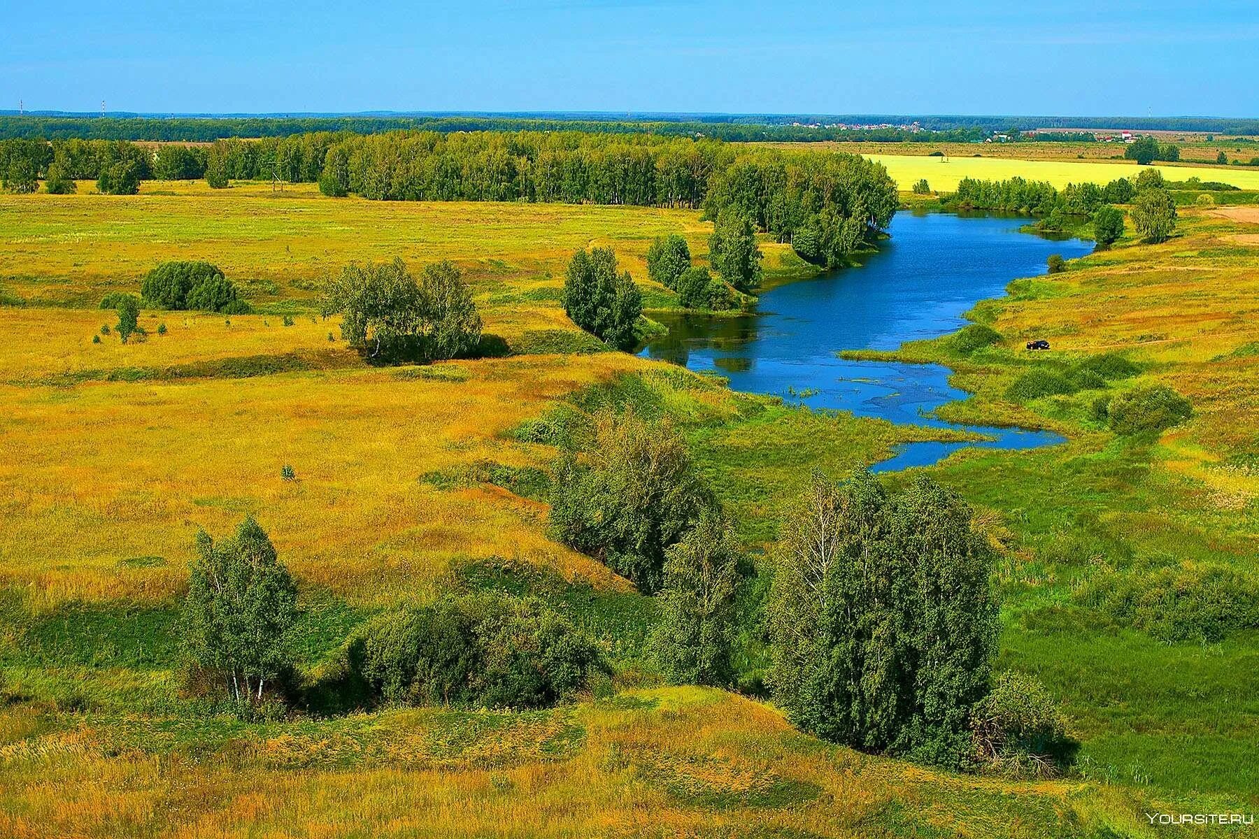 Природа беларуси детям. Ландшафт белоруссии. белоруссия природа. полесье беларусь. просторы беларуси.