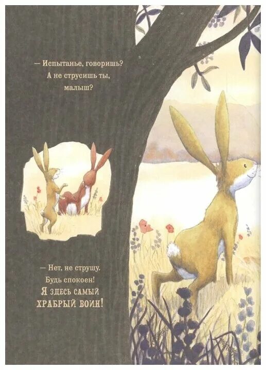 Книга про зайца. Братцы-зайцы. Заяц с книгой. Фарли ч. "братцы-зайцы". Книга про зайца Иностранная.