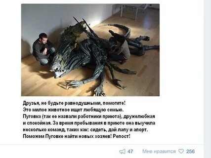 Помогаю чужим