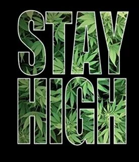 Gotta stay high