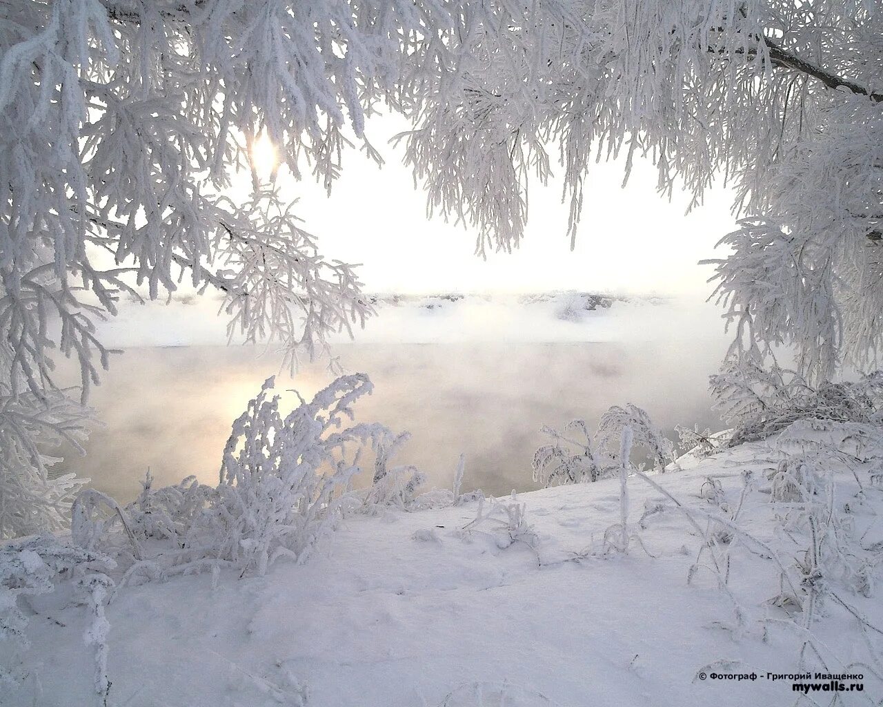 Судьба под снегом. Морозная зима. Зима Пурга. Февральская метель. Февральский пейзаж.