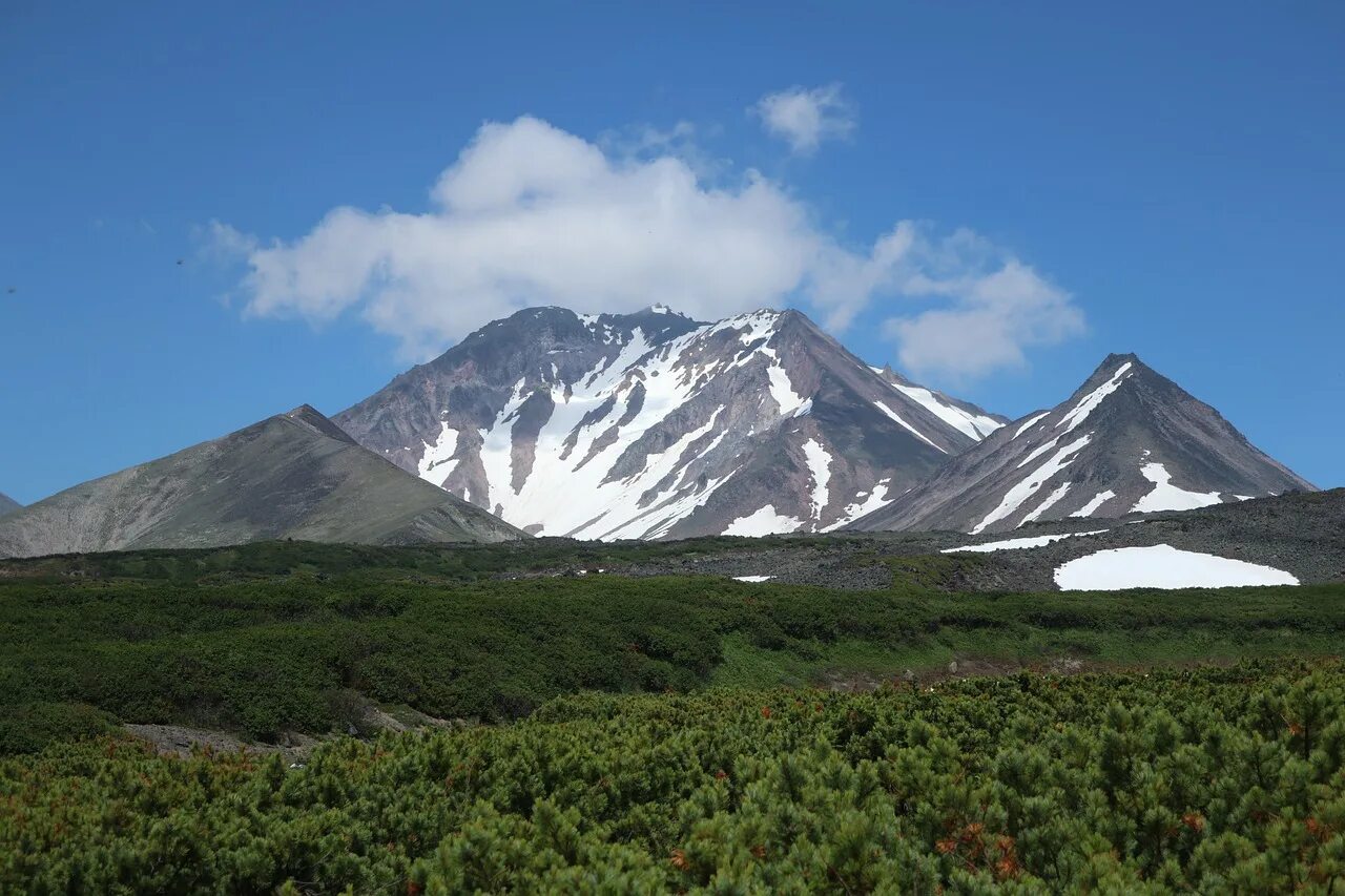 Камчатская 104