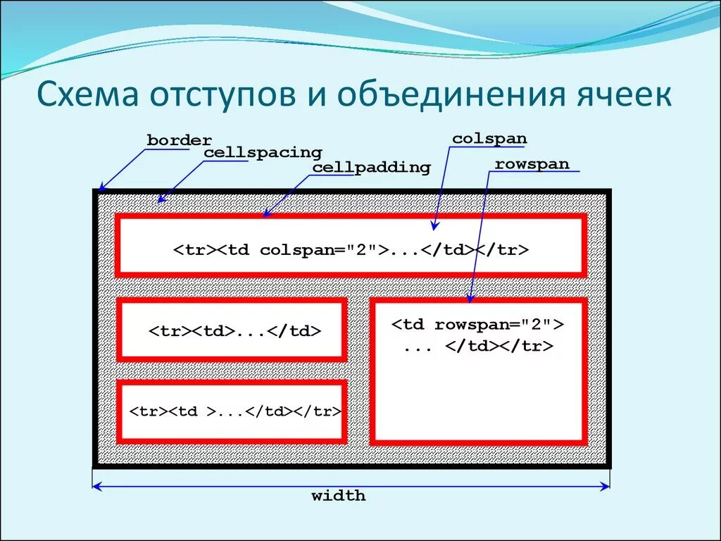 Ширина картинки. Объединение ячеек в html. Схема отступов. Отступ в html. Отступы в CSS.