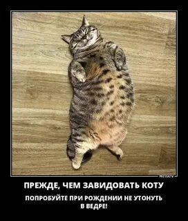 Завидовать это