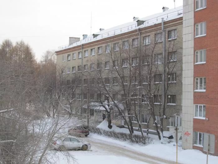 Лесотехнический университет екб. Уральский государственный лесотехнический университет екатеринбург. Уральская лесотехническая академия. Институт леса екатеринбург. Лесотехнический университет екб.