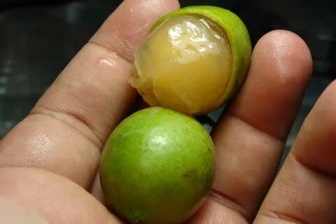 Кислый плод