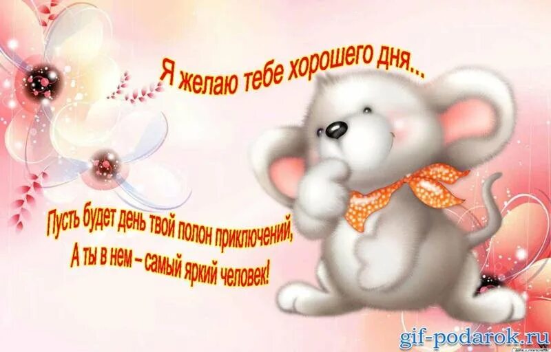 Доброго дня любимый желаю. Хорошего дня и отличного настроения. хорошего дня и отличного настроения картинки. пожелания доброго дня. удачного дня и хорошего настроения.