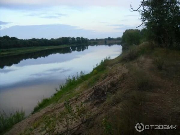 Уровень ахтубы в ахтубинске сегодня. Река Орудовка Сандово. Ахтубинск река Ахтуба. Орудовка река. Поселок Ахтуба Ахтубинская 63.