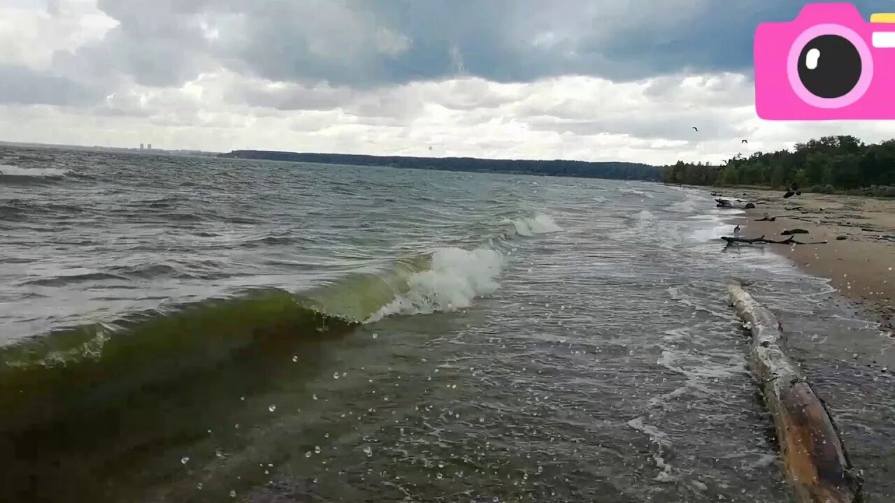 Прогулки по обскому морю