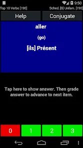 Train verb