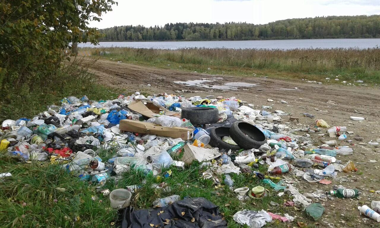 Отход видео. Мусор возле реки. Мусор в озере. Несанкционированные свалки. Мусор возле речки.