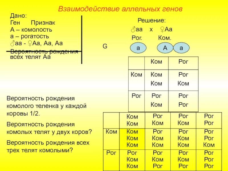 Аллельные гены задачи. Взаимодействие аллельных генов. Решение задач взаимодействие аллельных и неаллельных генов. Задачи на взаимодействие аллельных генов с решением. Сколько аллельных генов