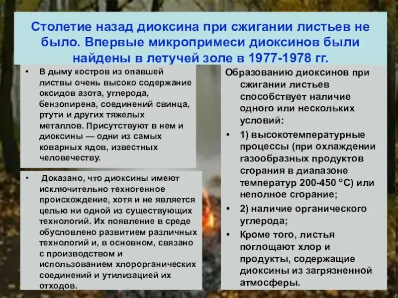 Процессы при горении. Температура горения каменного угля в печи. Энергия сгорания топлива физика 8 класс. Что говорить при сжигании. Химическая формула горения древесины.
