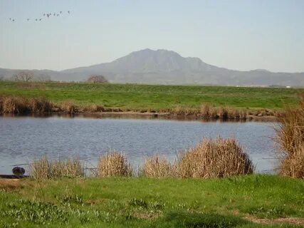Водный фонд