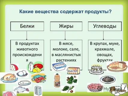 В сливочном масле содержится белок