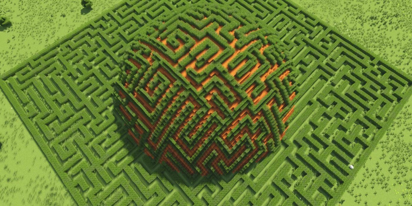 Tangle maze. Tangle maze