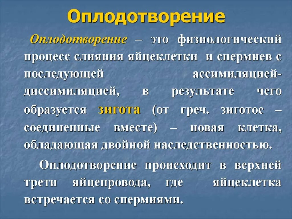 Оплодотворение и его биологическая сущность. Биологические закономерности оплодотворения. Оплодотворение его фазы биологическая сущность. Сущность процесса оплодотворения.