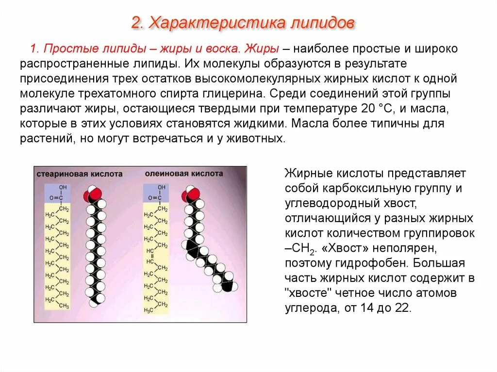 Липида отзывы. Строение жирных кислот липиды. Строение простых липидов. Фосфолипиды и жиры. Липиды жиры фосфолипиды.