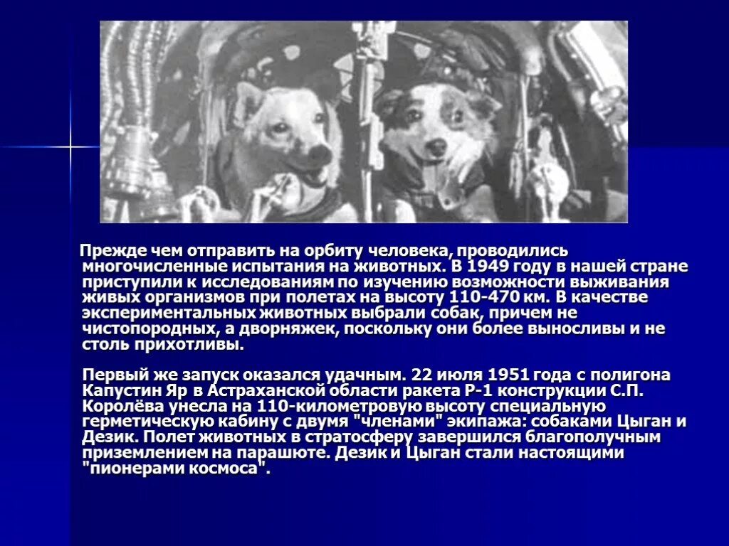 Интересные факты о первом полете в космос. Первые полеты в космос животных. Первое животное полетевшее в космос. Животные в космосе презентация. Первые животные в космосе презентация.