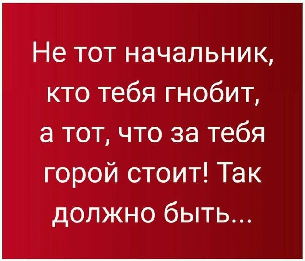 Высказывания про начальство. Статусы про незаменимых людей. Фразы про начальника. Фразы про начальника. Фразы про начальство.