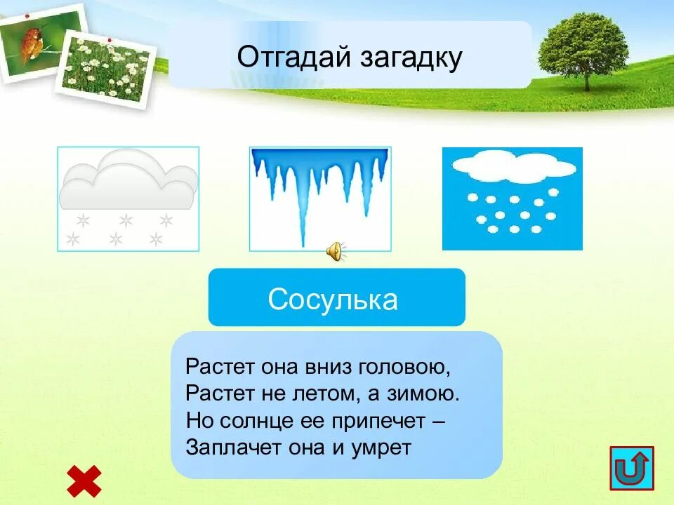 Отгадай загадку 1 цветом зимой и летом