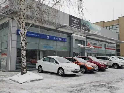 Дилеры тамбов