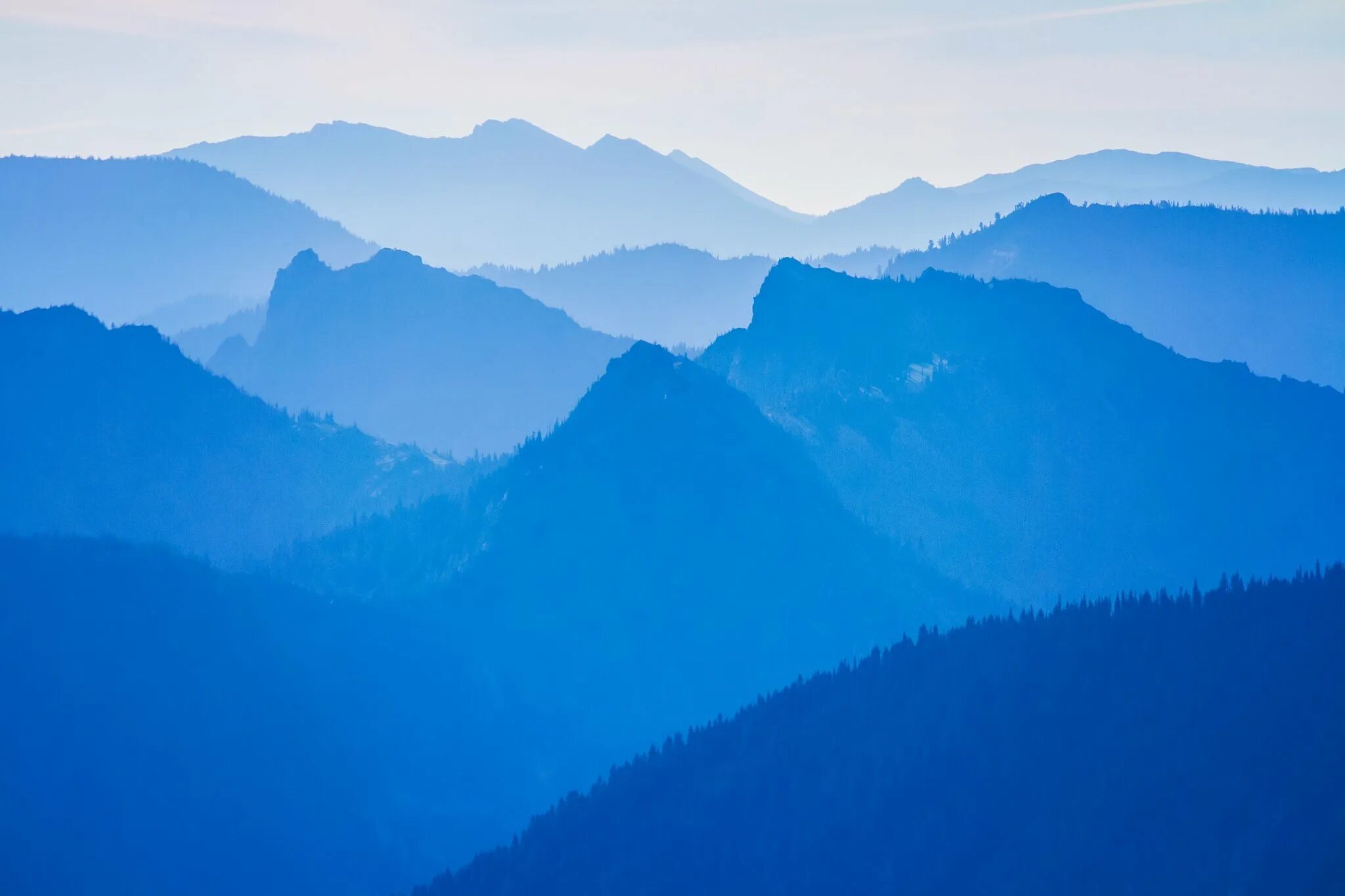 Голубые горы. Голубые холмы. Голубые холмы цветов. Голубой фон гор. Синий холм.