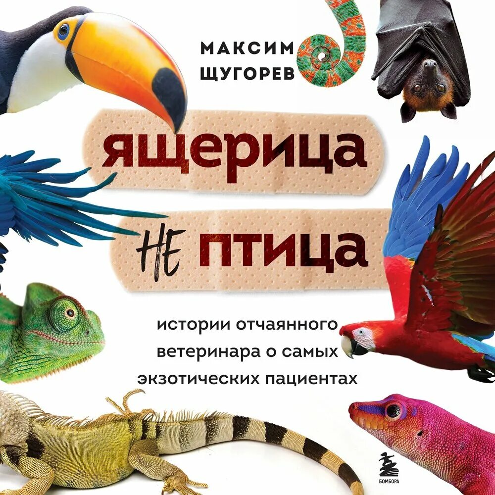 Ящер anonymous rex книга. Аудиокнига ящер. Аудиокнига ящер. Аудиокнига ящер. Ловушка для ящериц.