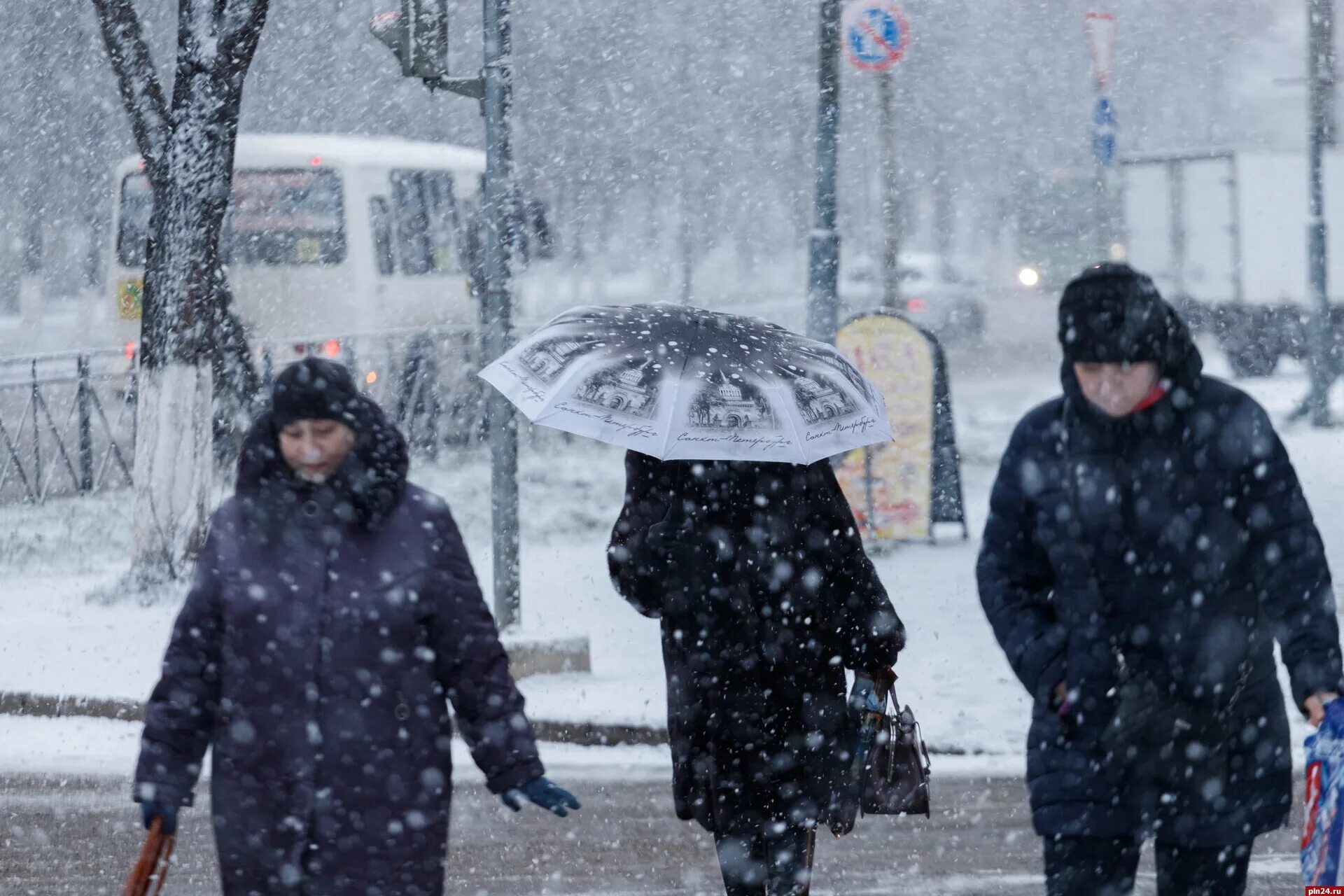 Псков первый снег. Снег во Пскове сегодня. Псковские сугробы. Снег выпал в Пустошке. 3 й январь дождь