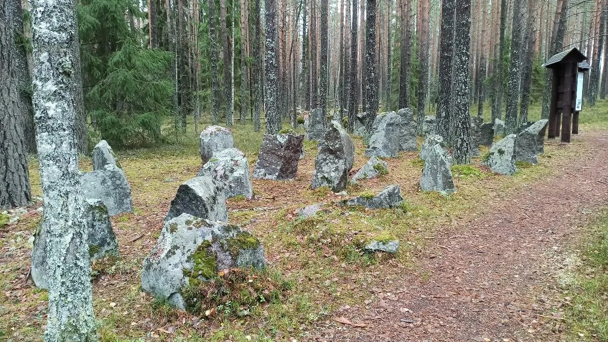 Заказник раковые озера. Государственный природный заказник раковые озера. Раковые озера экотропа. Государственный природный заказник раковые озера. Государственный природный заказник раковые озера.