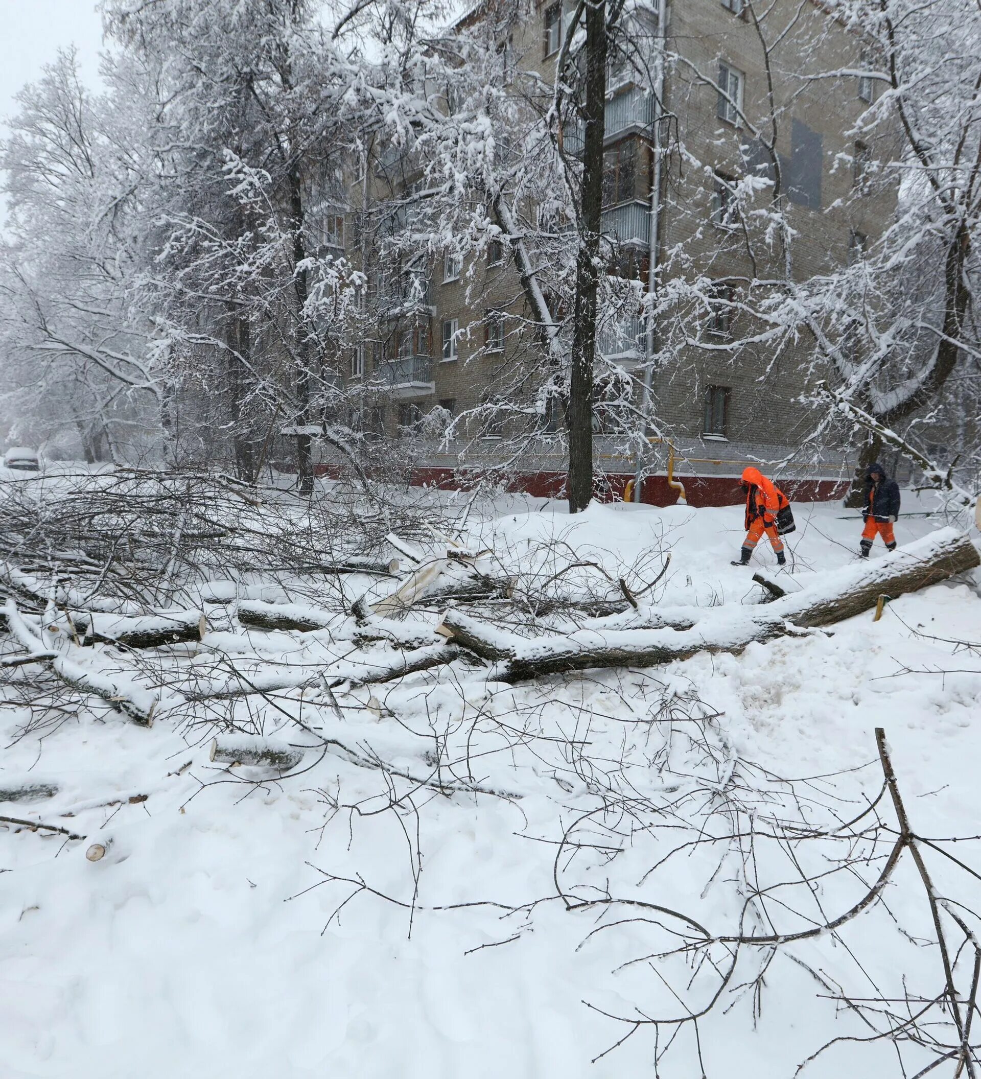 Ввиду непогоды занятия перенесли