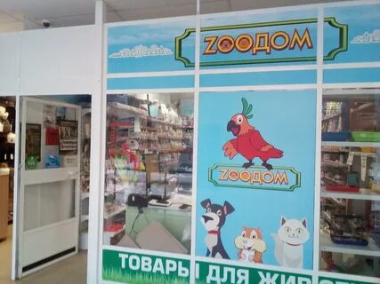 Айболит вологда