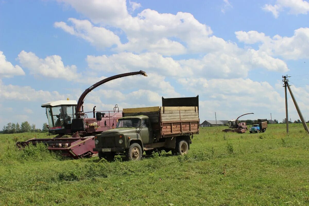 Дача с надстройками колхоз. Закон об охране социалистической собственности. Колхозы в годы войны 1941-1945. Заброшенный колхоз. Колхоз 1930 коллективизация.