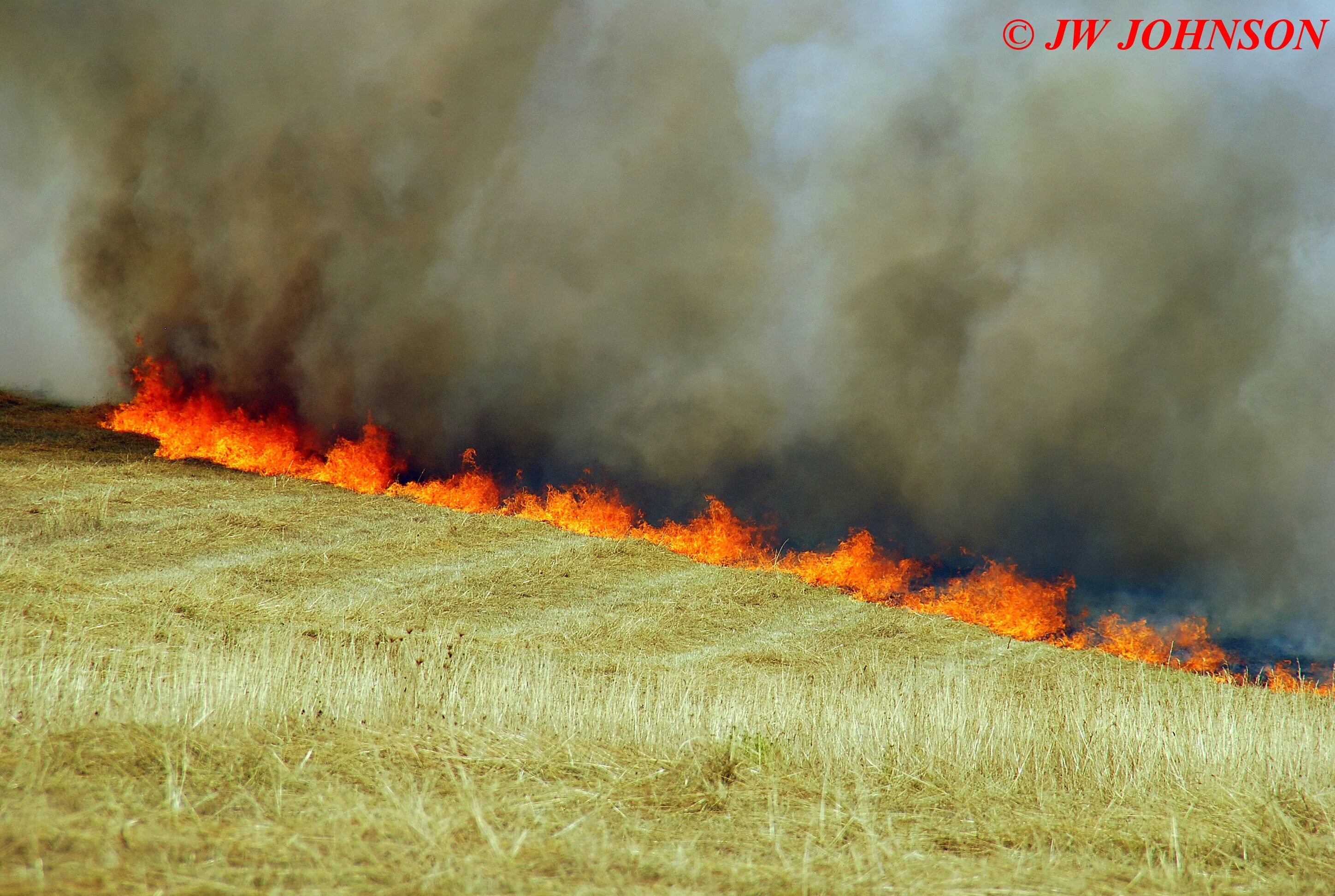полевые пожары. степные и полевые пожары. степной пожар. степной пожар. степной пожар.