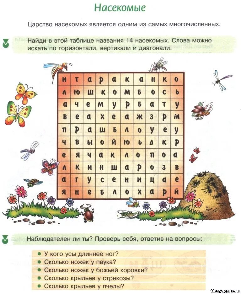 Поиск слов кроссворд. Филворд насекомые для дошкольников. Найди названия насекомых. Детский кроссворд. Филворды для детей насекомые.