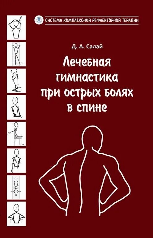 Боль в спине книга. Лечебная гимнастика при болях в спине. Лечебная физкультура при болях в спине. Упражнения при острой боли в спине. Лечебная гимнастика при острых болях в спине.