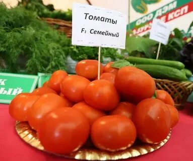 Томат семейный