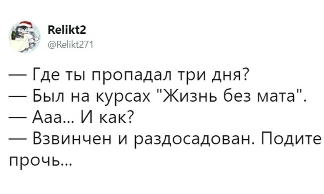 Куда пропал пилигрим. Был на курсах жизнь без мата взвинчен и раздосадован. Анекдот курсы жизнь без мата. Я раздосадован подите прочь прикол. Ходил на курсы без мата раздосадован.