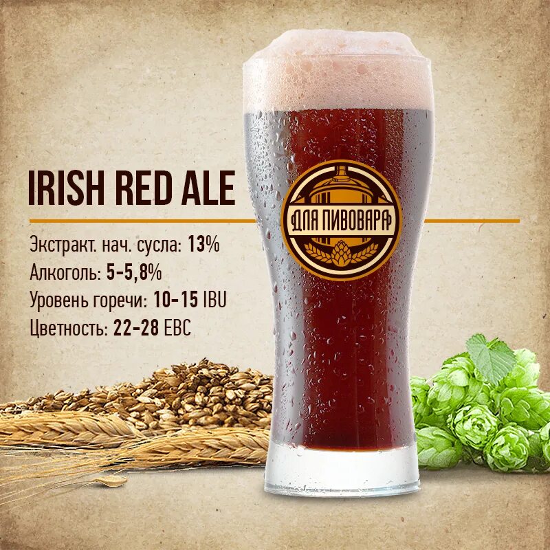 Irish Red ale пиво. Irish ale Бочкари. Ирландский Эль красное пиво. Ирландское красное пиво. Irish red