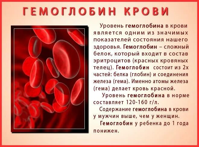 Почему низкое железо в крови. Гемоглобин. Гемоглобин в крови. Снижение уровня гемоглобина. Заболевание крови низкий гемоглобин.