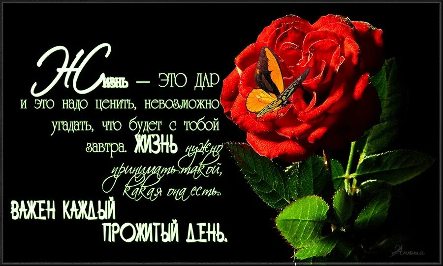 Я ценю каждый день с тобой