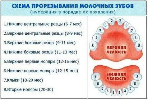 Классификация кариес пульпит периодонтит. Что нельзя делать после удаления зуба. После удаления зуба мудрости. Может ли после лечения зуба подняться температура. Как помочь при зубной боли.