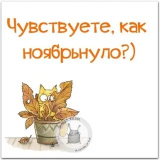 Ноябрьнуло картинки