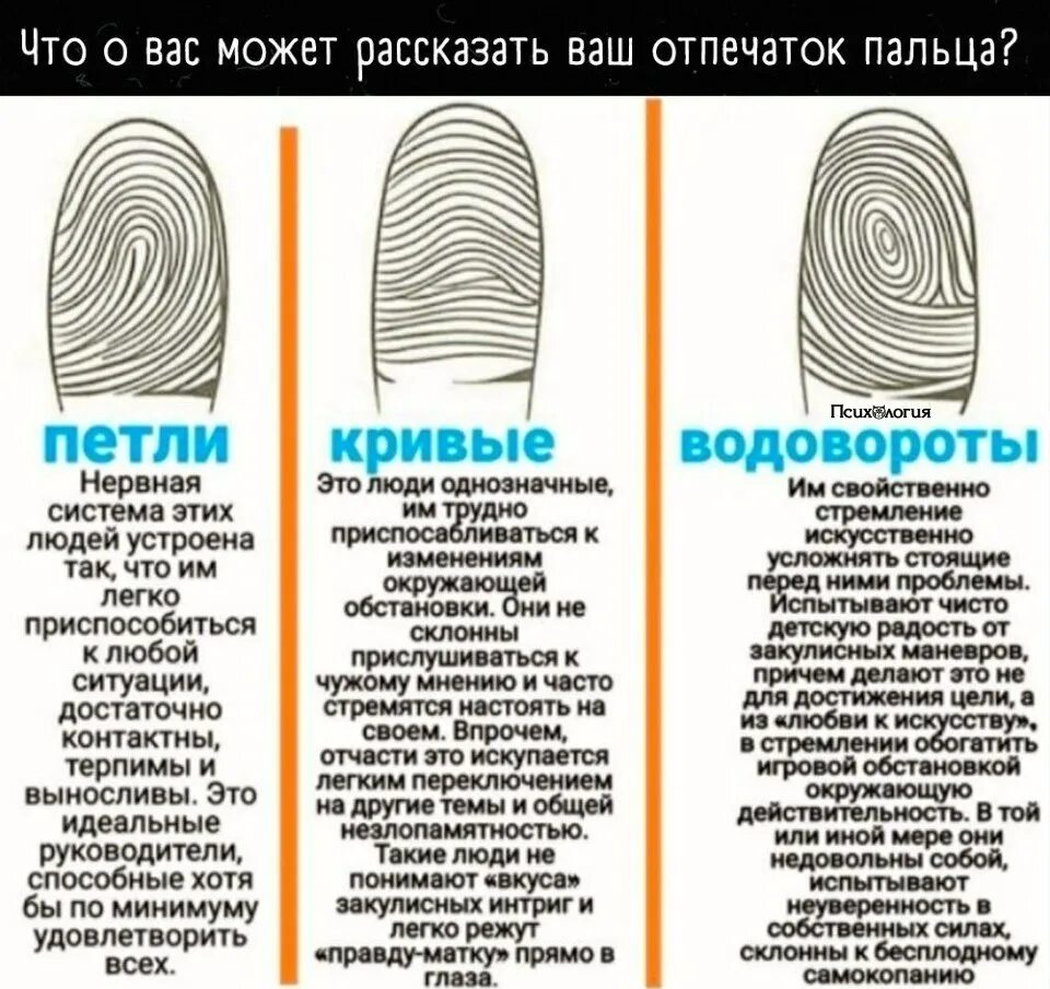 Стоит отпечатки пальцев. Темперамент по отпечаткам пальцев. отпечатки пальцев и характер. разновидности отпечатков пальцев. тип отпечатка пальца.