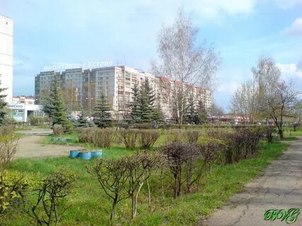 Кстова поляна