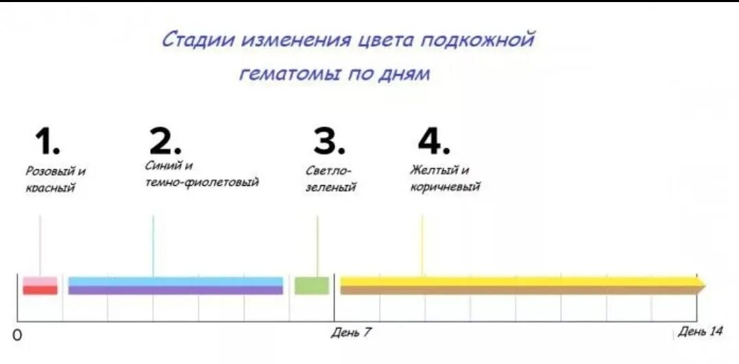 Этапы рассасывания гематомы. Этапы формирования синяка. Этапы формирования гематомы.