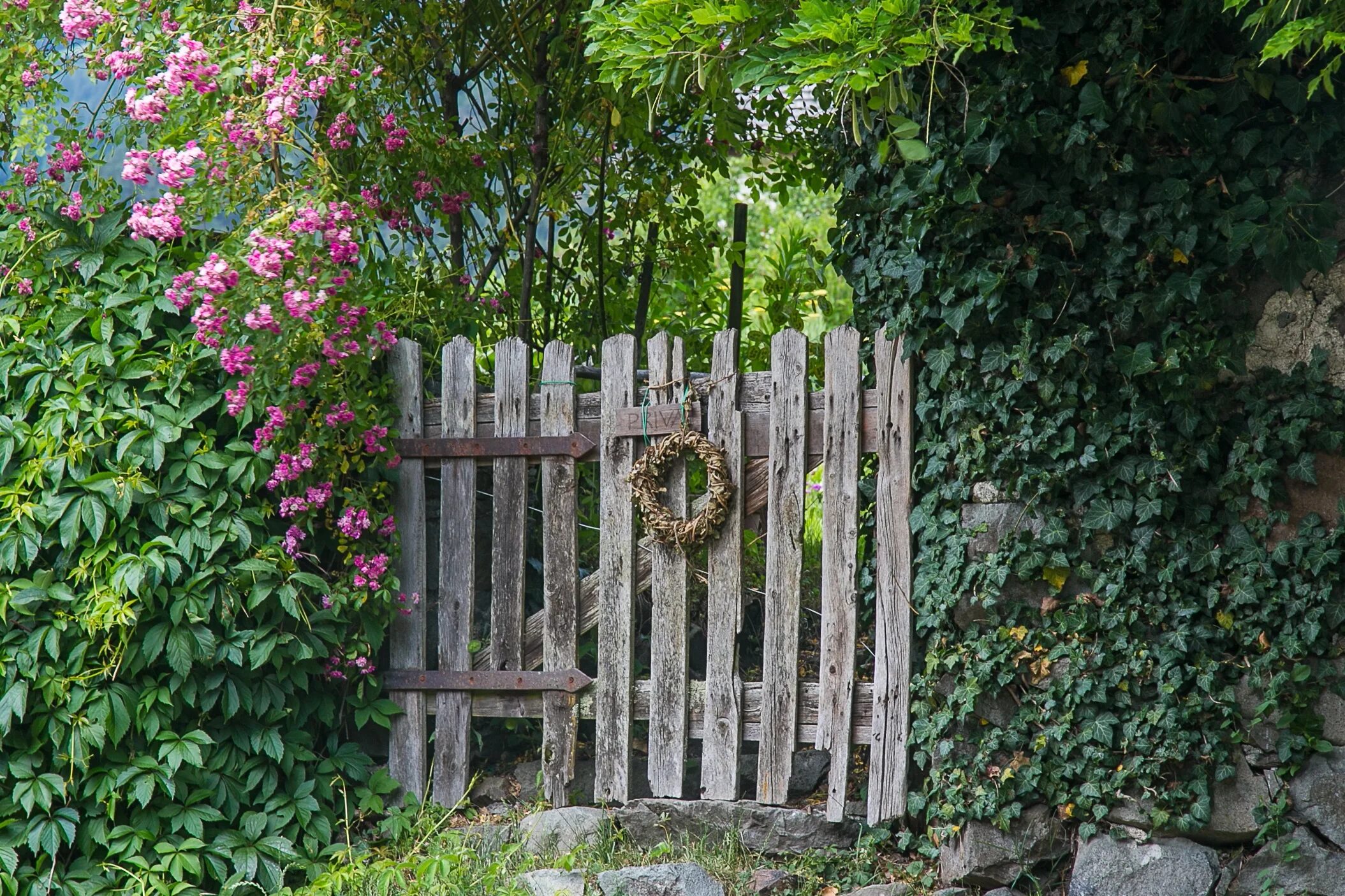 Старая деревянная калитка. Забор для сада. Изгородь в саду. Калитка в сад. Старый забор купить