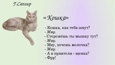 Что ответить если написали мяу