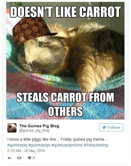 He doesn t like carrots