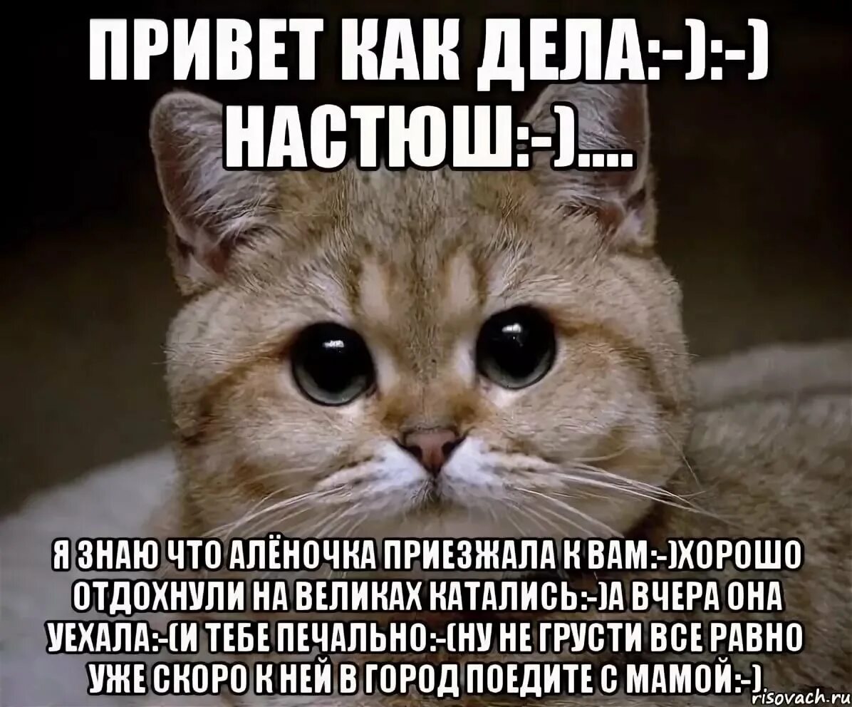 Дело в том что в общем